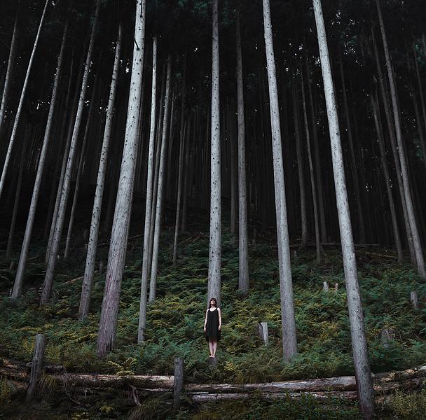 Siempre me cuesta ver el bosque
