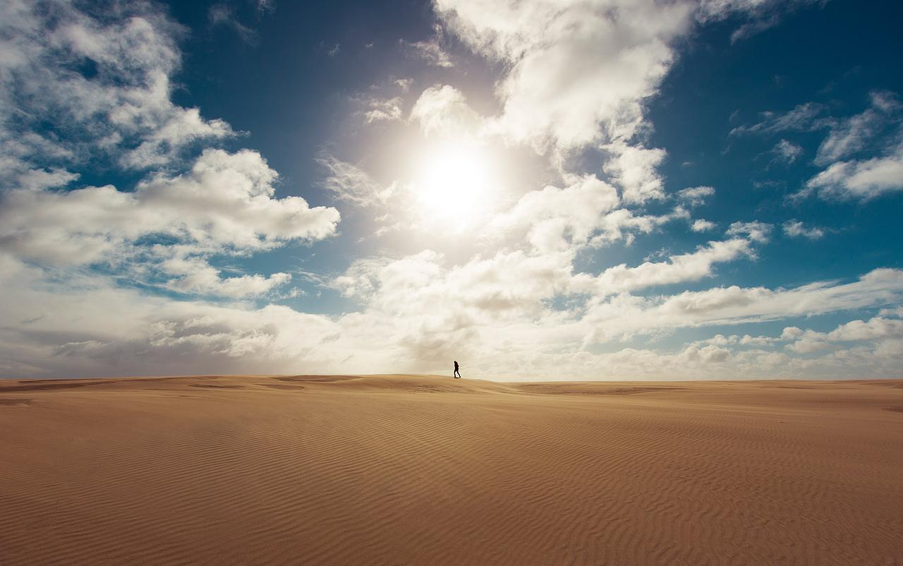 Desertar